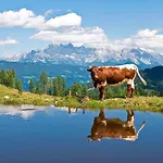 Das Landhaus - Grosszuegiges Ferienhaus In Altenmarkt Hébergement de vacances Altenmarkt im Pongau